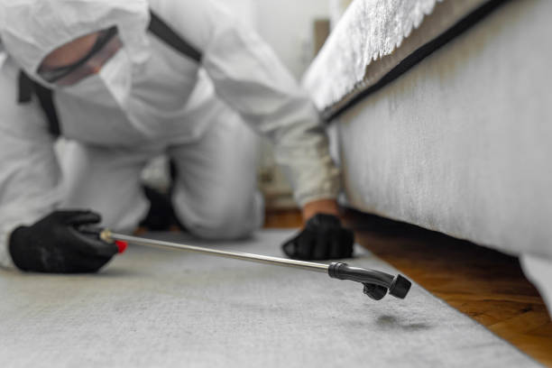 Professional Bed Bug Control technician working in Mead Valley, CA